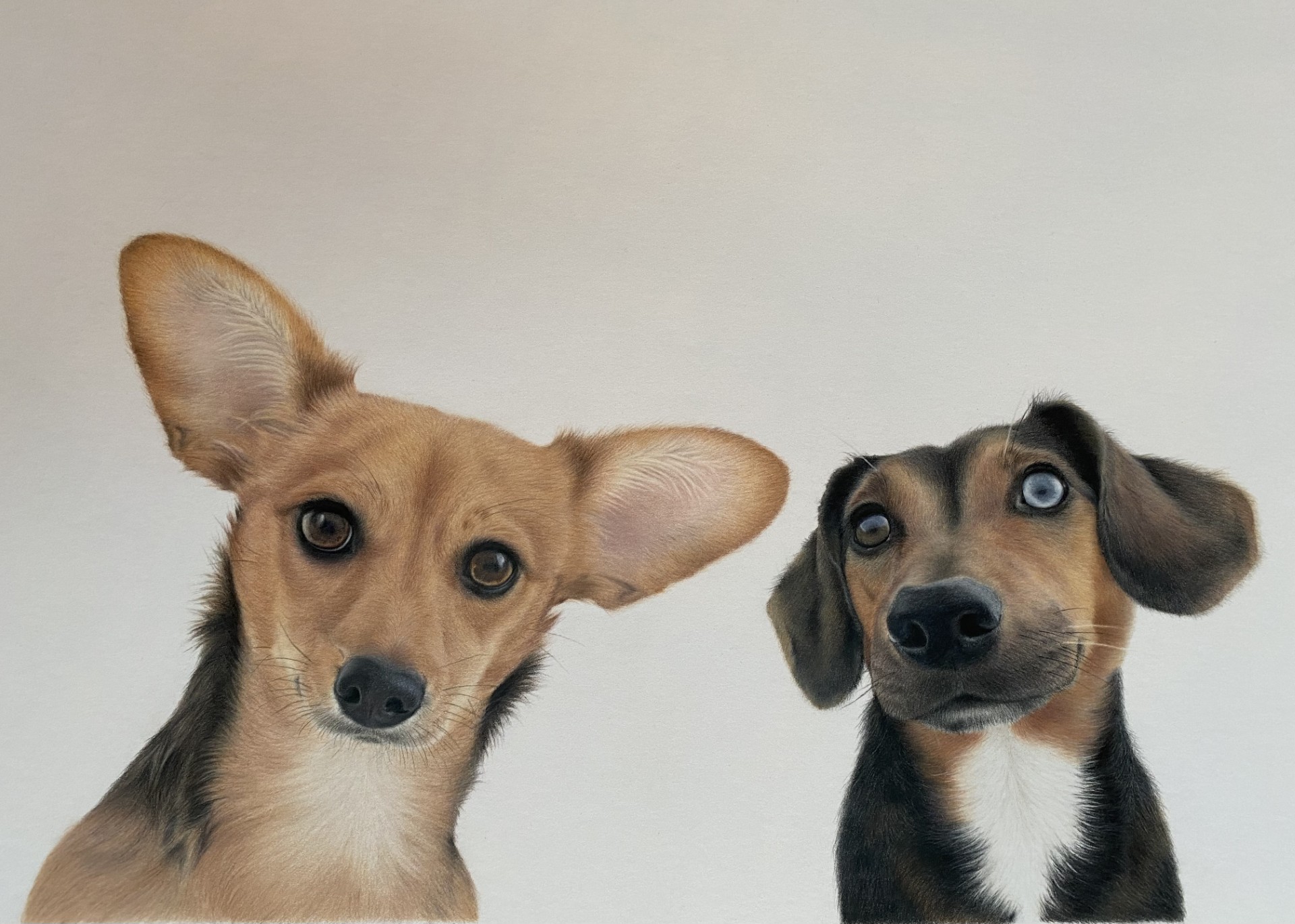 Double portrait — private commission — coloured pencil portrait by Christy Bonnett